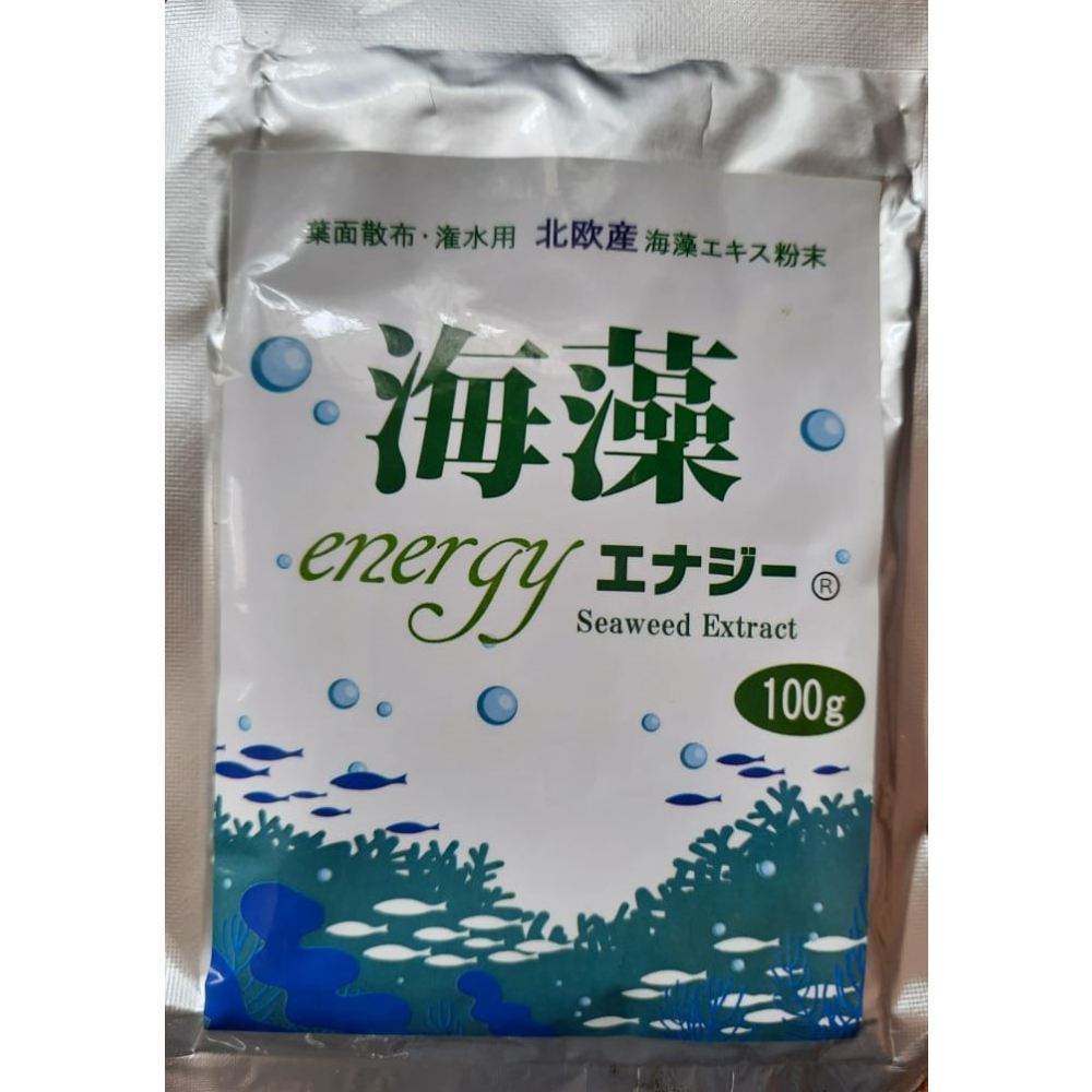Seaweed Energy (Nordic Seaweed Extract Powder For Plant - Standard: 100g) | Biostimulant Material