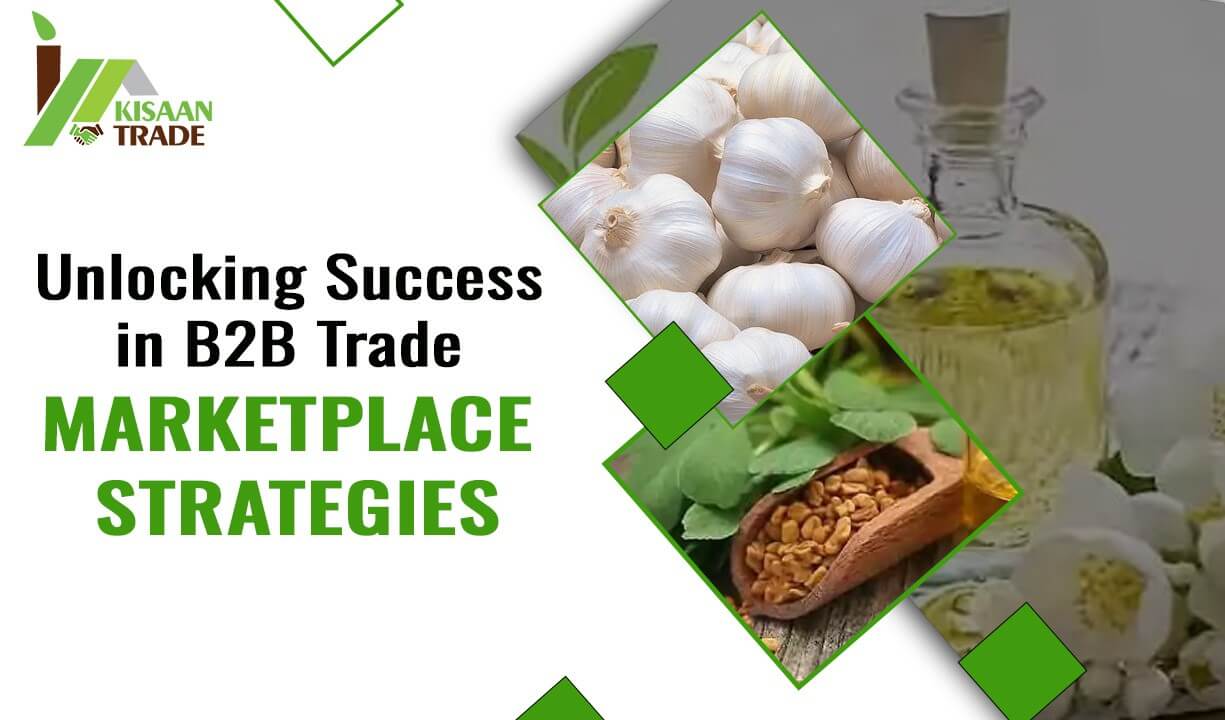 Paths to Success in B2B Business - Market Strategies Paths to Success in B2B Business - Market Strategies