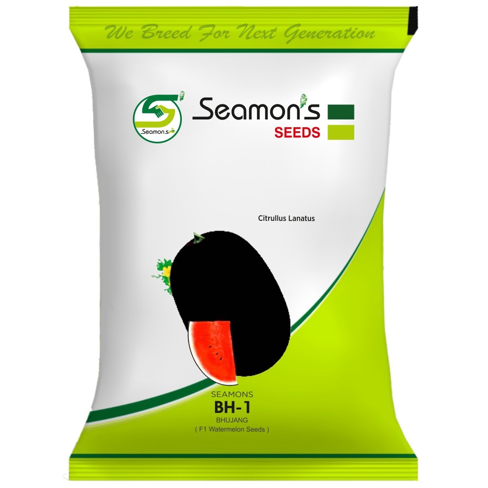 Seamons Bh-1 Bhujang Hybrid Watermelon Seeds