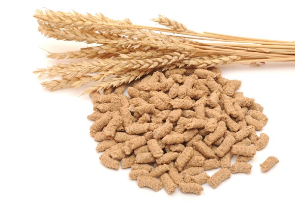 Wheat bran for animal feed