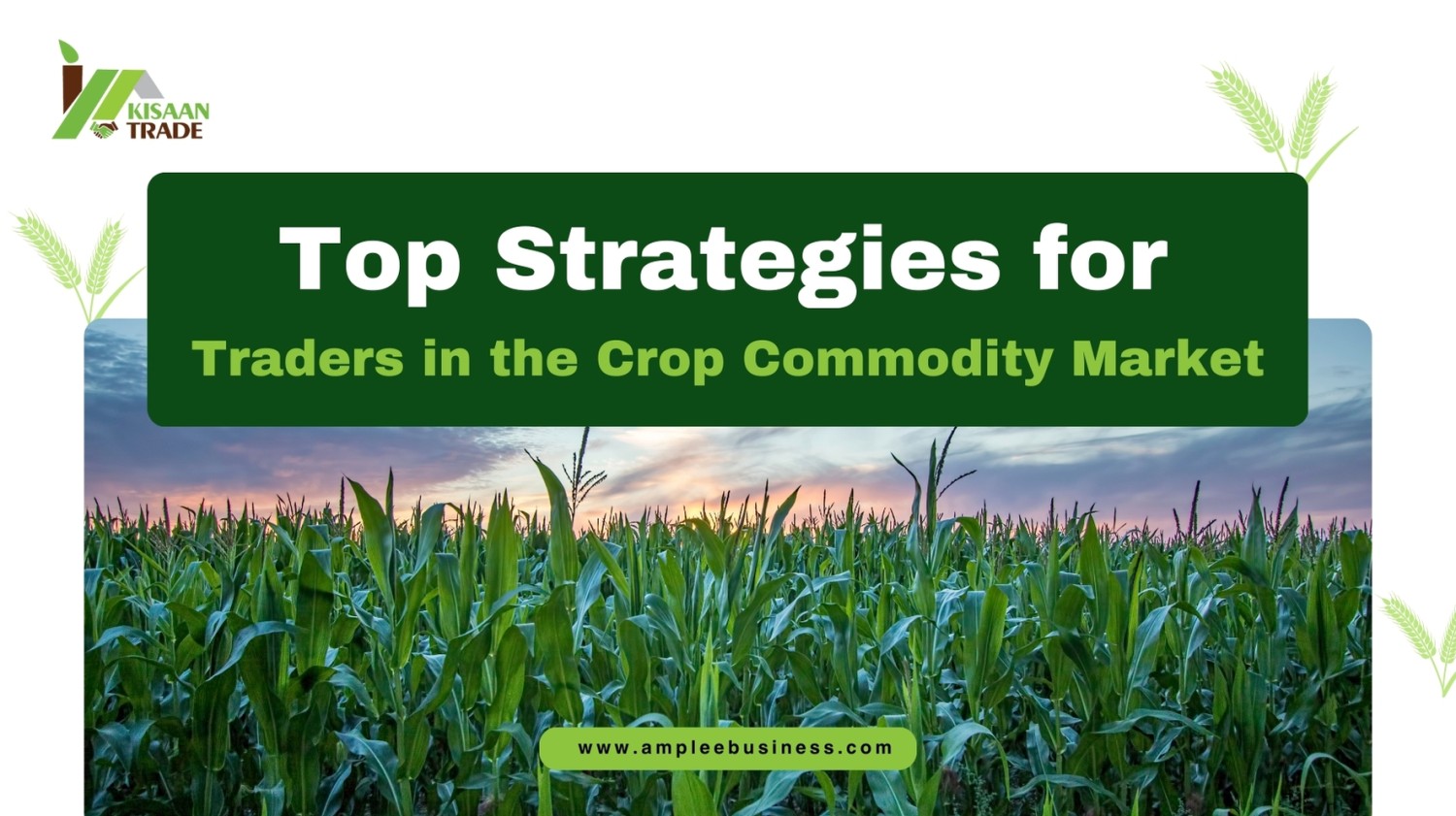 Top Strategies for Traders in the Crop Commodity Market Top Strategies for Traders in the Crop Commodity Market