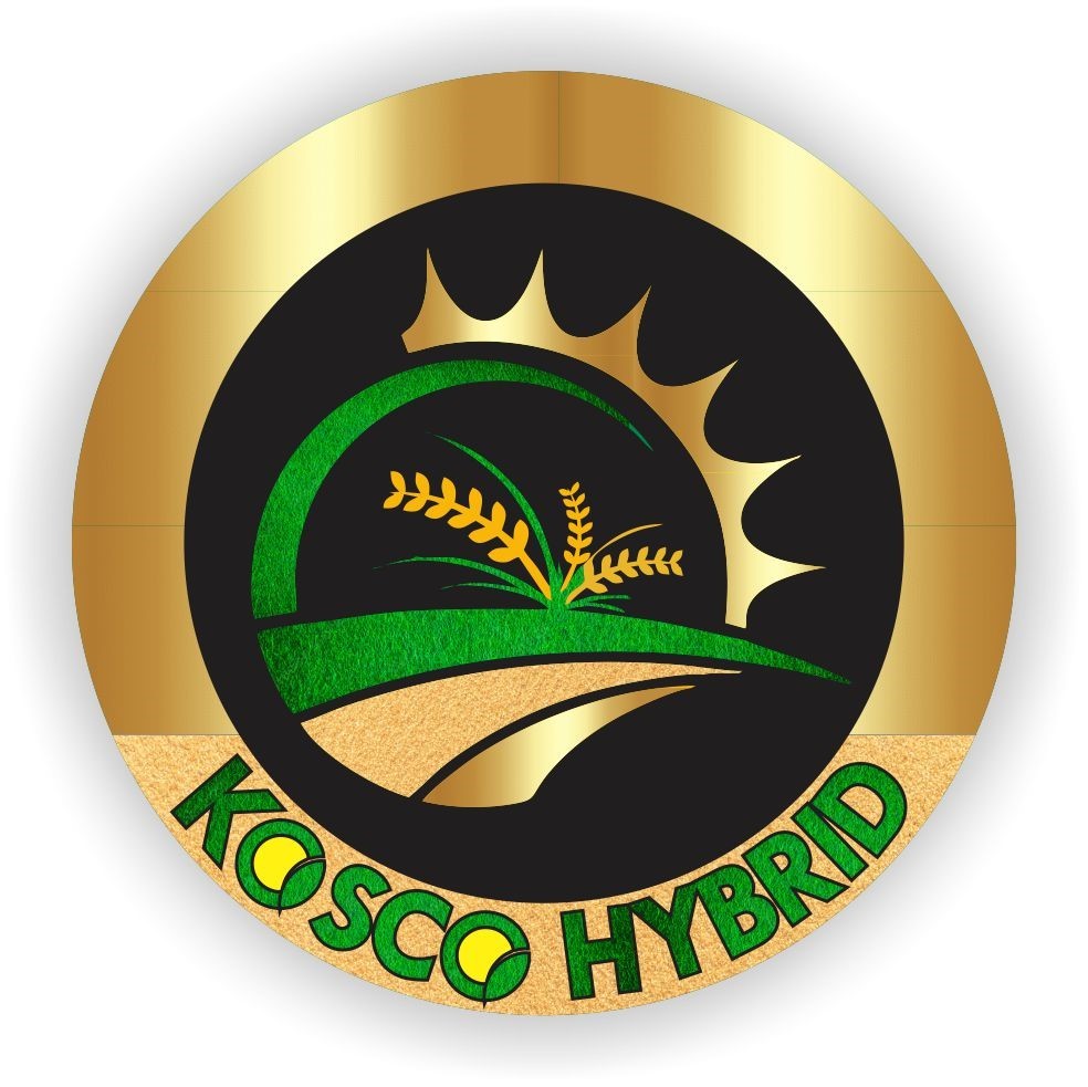 Kosco Hybrid