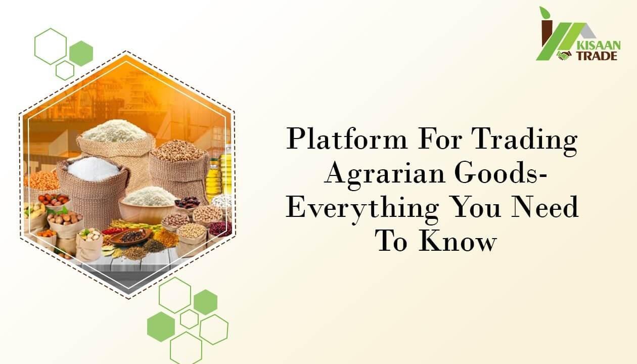 Platform for Trading Agrarian Goods: Everything You Need to Know