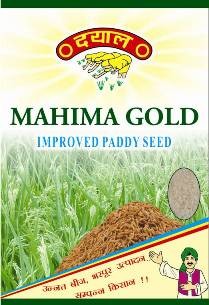 Mahima Gold | Paddy Seeds - Dayal Fertilizer