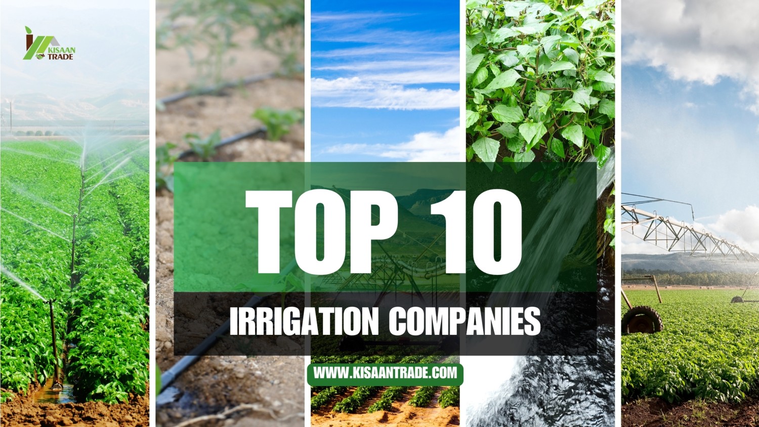 Top 10 Irrigation Products Companies in India for Smart Farming Top 10 Irrigation Products Companies in India for Smart Farming
