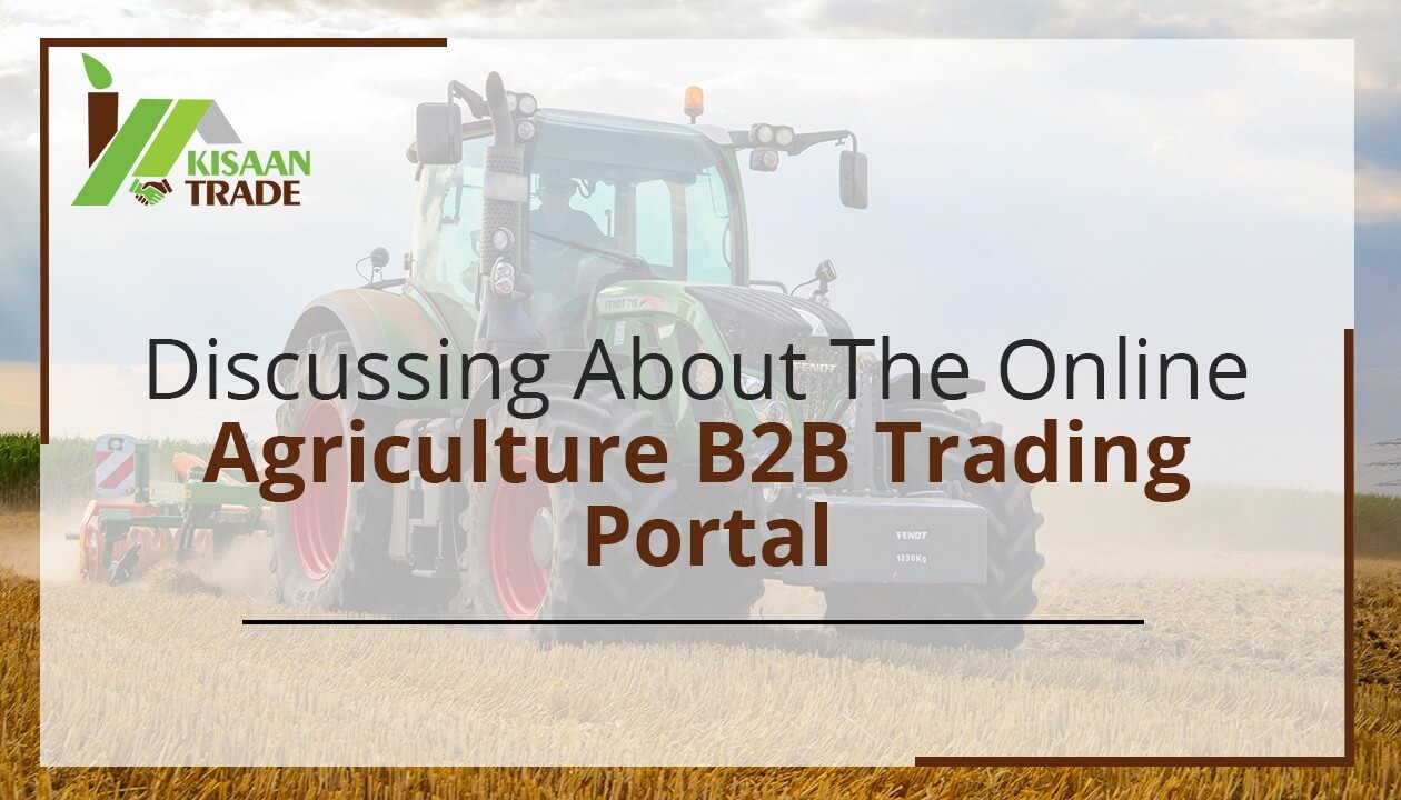 Discussing the online agriculture B2B trading portal