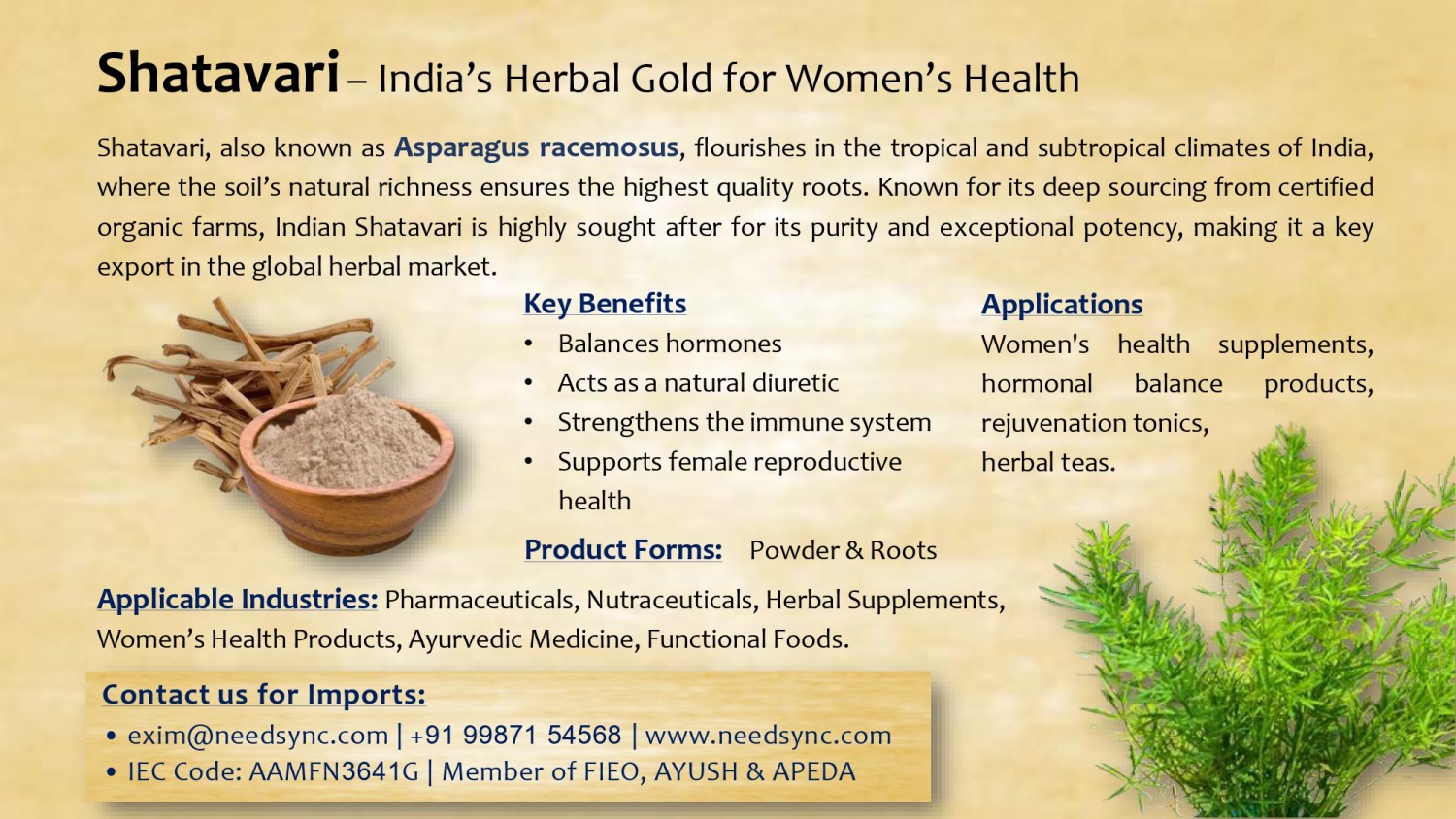 Shatawari Powder & Roots