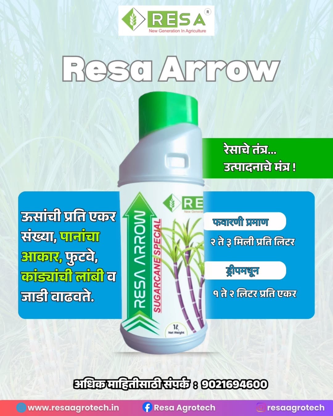 Resa Arrow