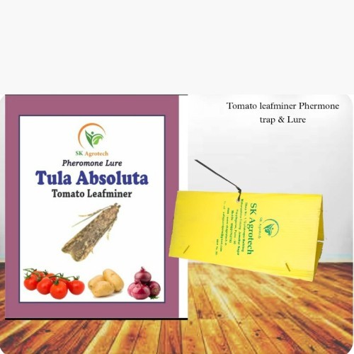Tuta Absoluta-Tomato Leaf miner pheromone lure & Delta Trap