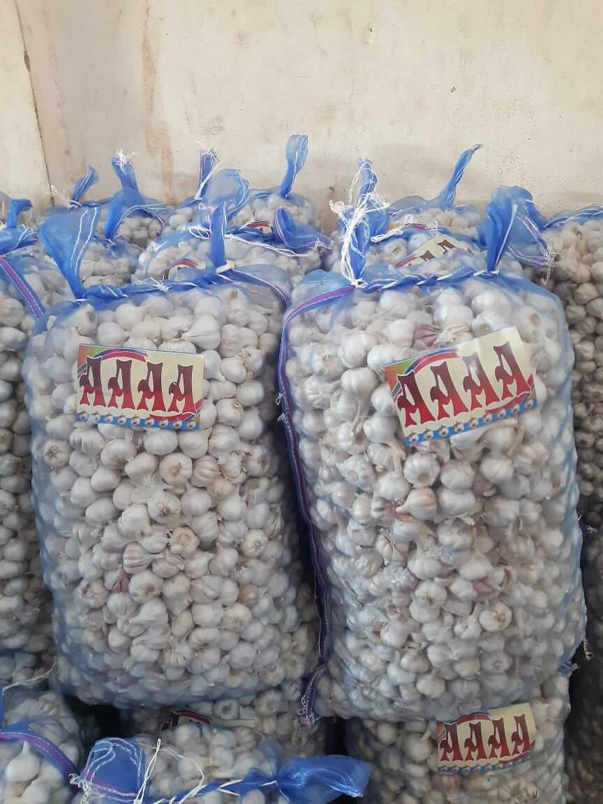 All Types of Garlic Available - Desi and Ooty Garlic Wholesaler and Supplier