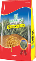 Sonakshi 45 | Variety of Wheat Seeds | Buy Wheat Seeds Online | Wheat Supplier