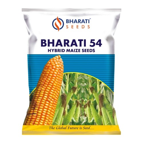 BHARATI 54 Hybrid Maize Seeds – High Shelling & High Yield Potential | Premium Quality Hybrid Corn Seeds