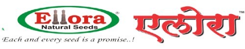 Ellora Natural Seeds Pvt Ltd