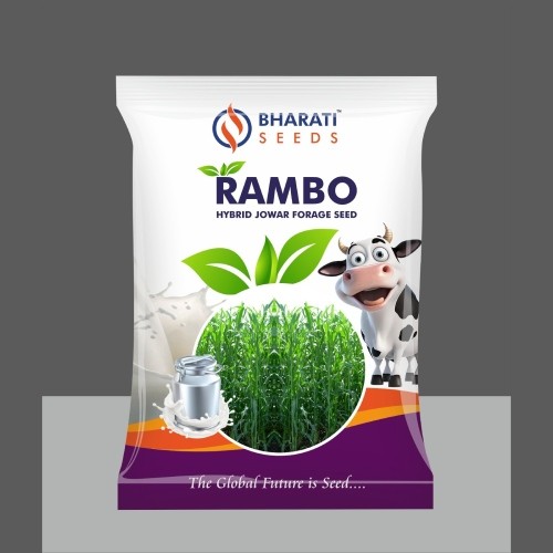 Bharati Seeds Rambo Hybrid Jowar Forage Seed – High-Quality Hybrid Sorghum Seed for Nutritious Green Fodder