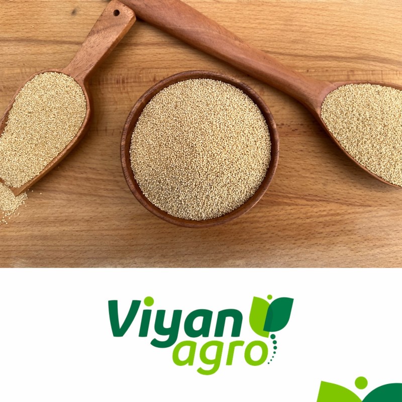Organic Amaranth Seeds