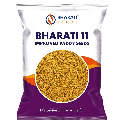 BHARATI 11 Improved Paddy Seeds | Bold & Weighted Grains | High Yield | Disease & Pest Tolerant