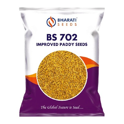 BHARATI BS 702 Improved Paddy Seeds | Medium Slender Grain | Delicious Meal Quality | Very High Market Value