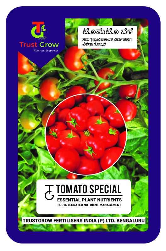 TG-Tomato Special
