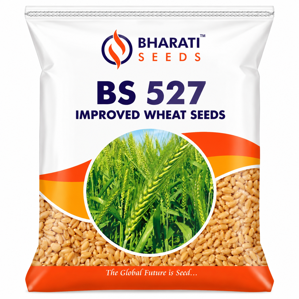 Bharati Seeds BS 527 Improved Wheat Seeds – Quality Wheat Seed for Healthy Crop Growth & Higher Yield Potential