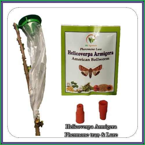 Helicoverpa Armigera pheromone lure & Funnel Trap