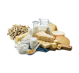 Animal Feed & Dairy Products