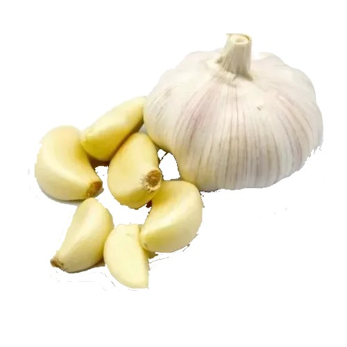 A Grade Garlic Pudi, Garlic Size: 28 mm, Packaging Size: 50 Kg