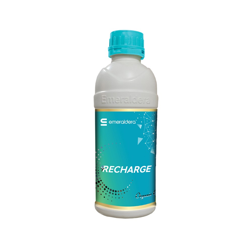 Recharge Liquid Organic Fertilizer – Fermented Nutrient-Rich Formula for Healthy Crop Growth & Higher Yield
