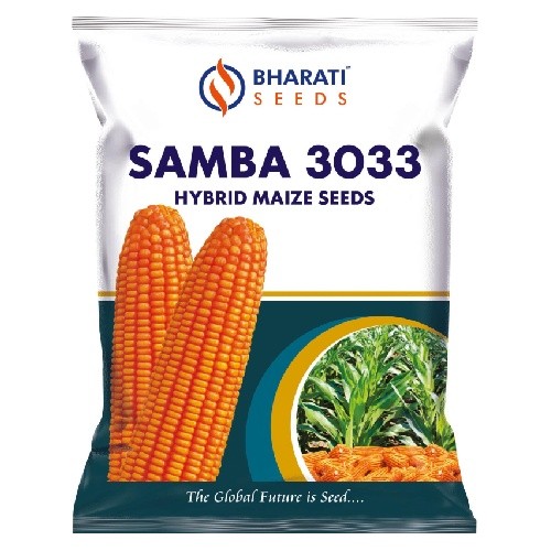 SAMBA 3033 Hybrid Maize Seeds | More Cobs Per Acre | High Shelling Percentage | Disease & Pest Tolerance